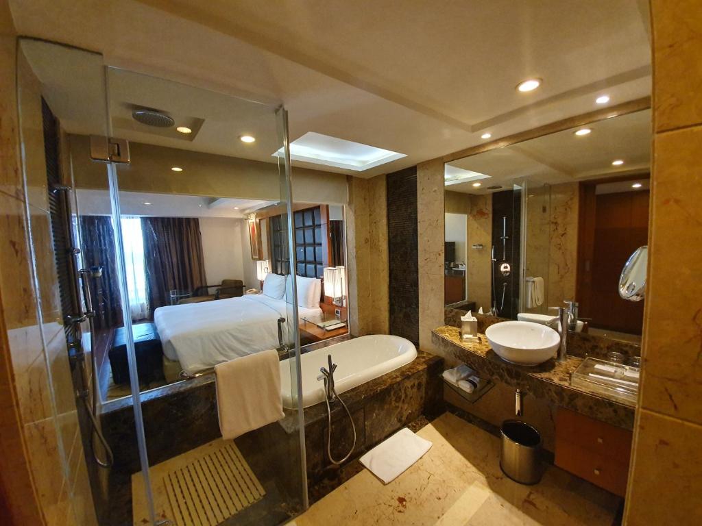Bathtub Room Radisson Blu Plaza Delhi Airport